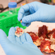 A pomegranate prepared for analysis in Johan Auwerx’s lab at EPFL (Image: EPFL / Alain Herzog)